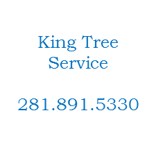 KingTreeService